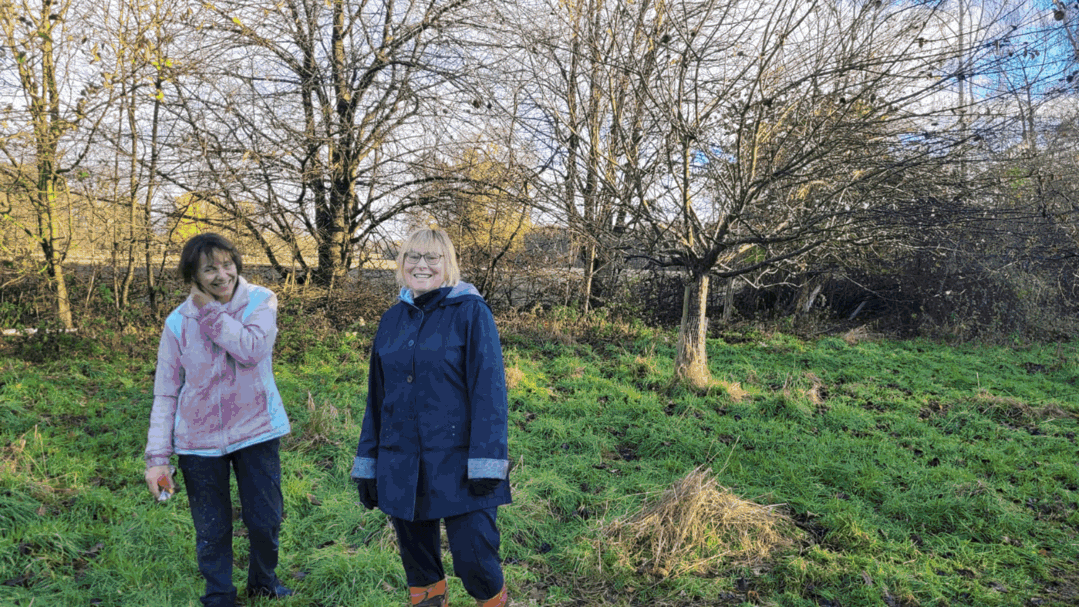 Lea Park Community Orchard